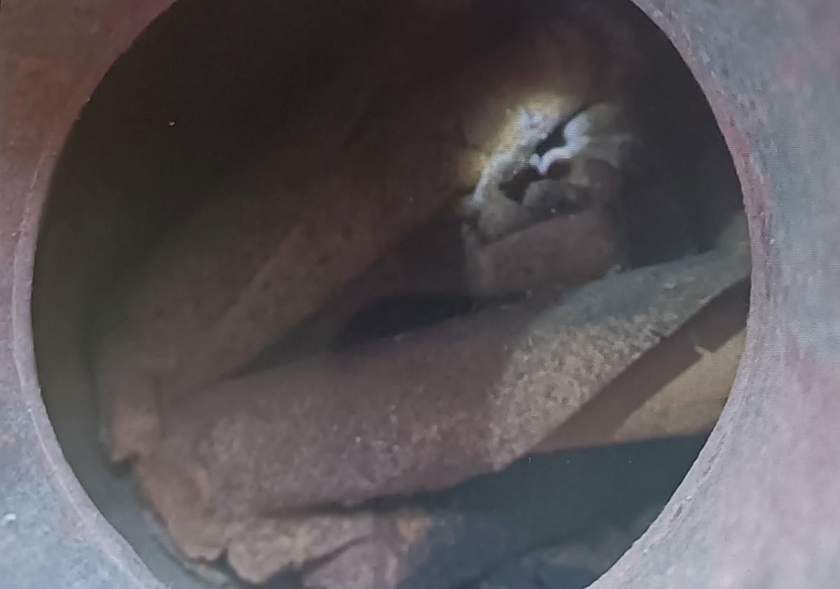 Cartuchos de dinamita localizados en un cántaro de una vivienda de Vivero de Omaña.