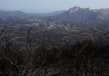 Nueve zonas de León declaradas gravemente afectadas por los incendios forestales