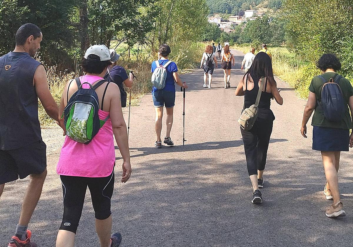 Imagen principal - Varias actividades deportivas realizadas en la investigación financiada por las becas Ralbar.