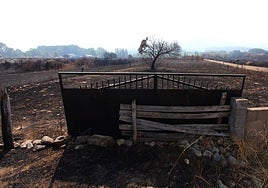 Efectos del incendio en Castropodame.