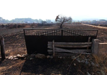 León termina agosto sin incendios de nivel 1 ni 2