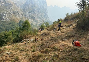 «Aquí no vino ni dios. Tenemos un incendio y no veo a nadie de la Junta»