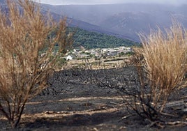 Visita a una de las ganaderías afectadas.