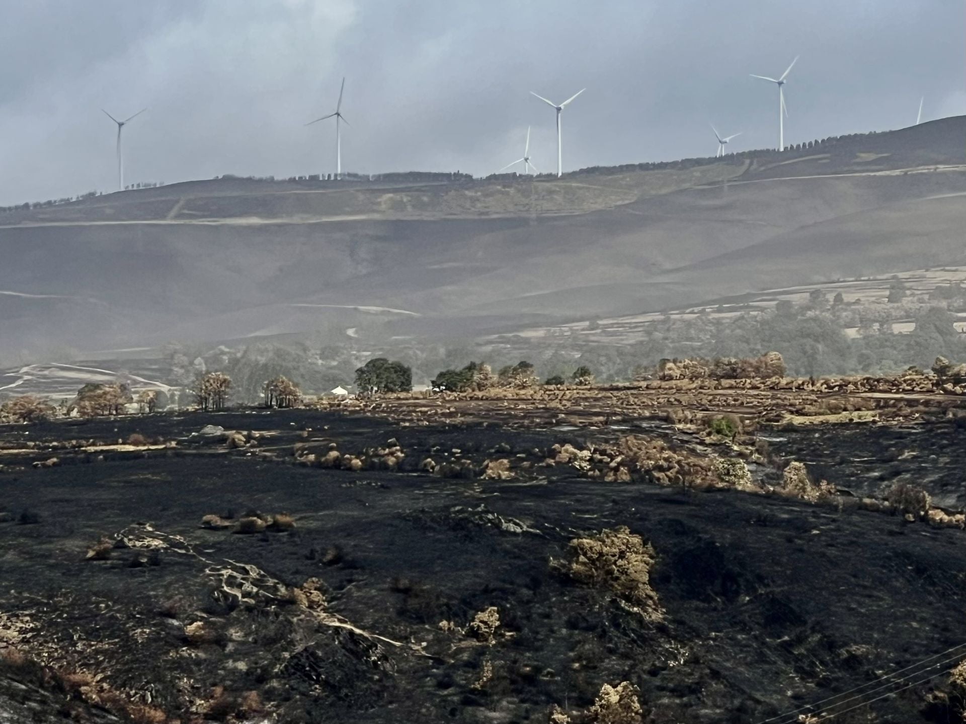 Imágenes de zonas de León afectadas por los incendios