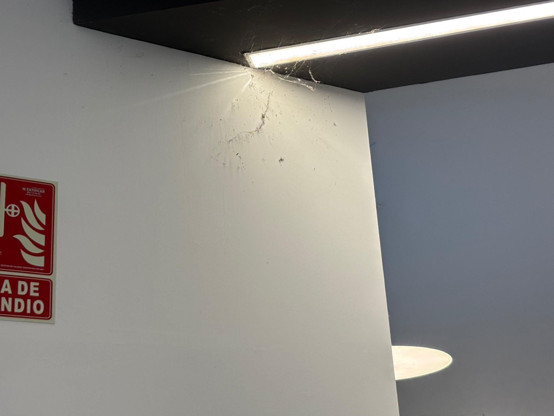 Así está la estación de autobuses de León tras menos de dos años desde su reforma