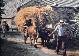 Imágenes antiguas de Canseco.