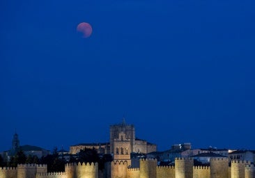 León vive, por poco, el último eclipse total de Luna hasta 2028