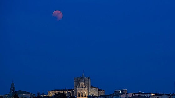 León vive, por poco, el último eclipse total de Luna hasta 2028