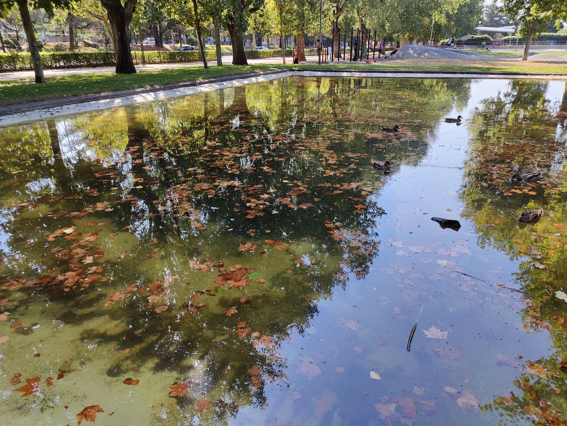 Las imágenes de la basura en el estanque del paseo Papalaguinda