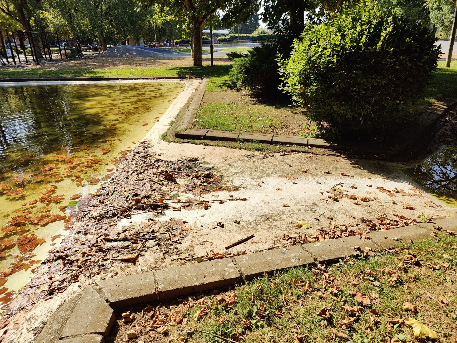 Las imágenes de la basura en el estanque del paseo Papalaguinda