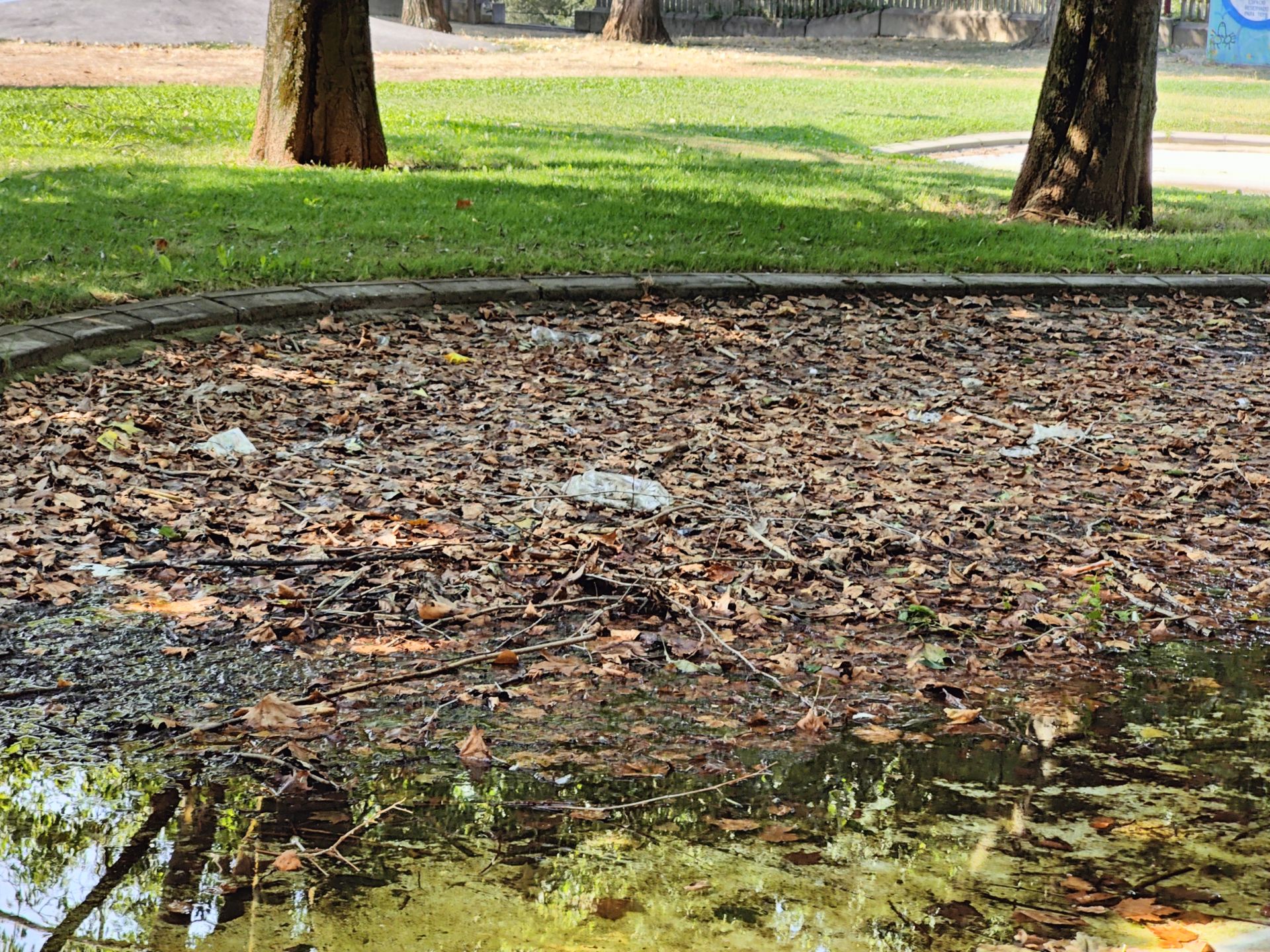 Las imágenes de la basura en el estanque del paseo Papalaguinda