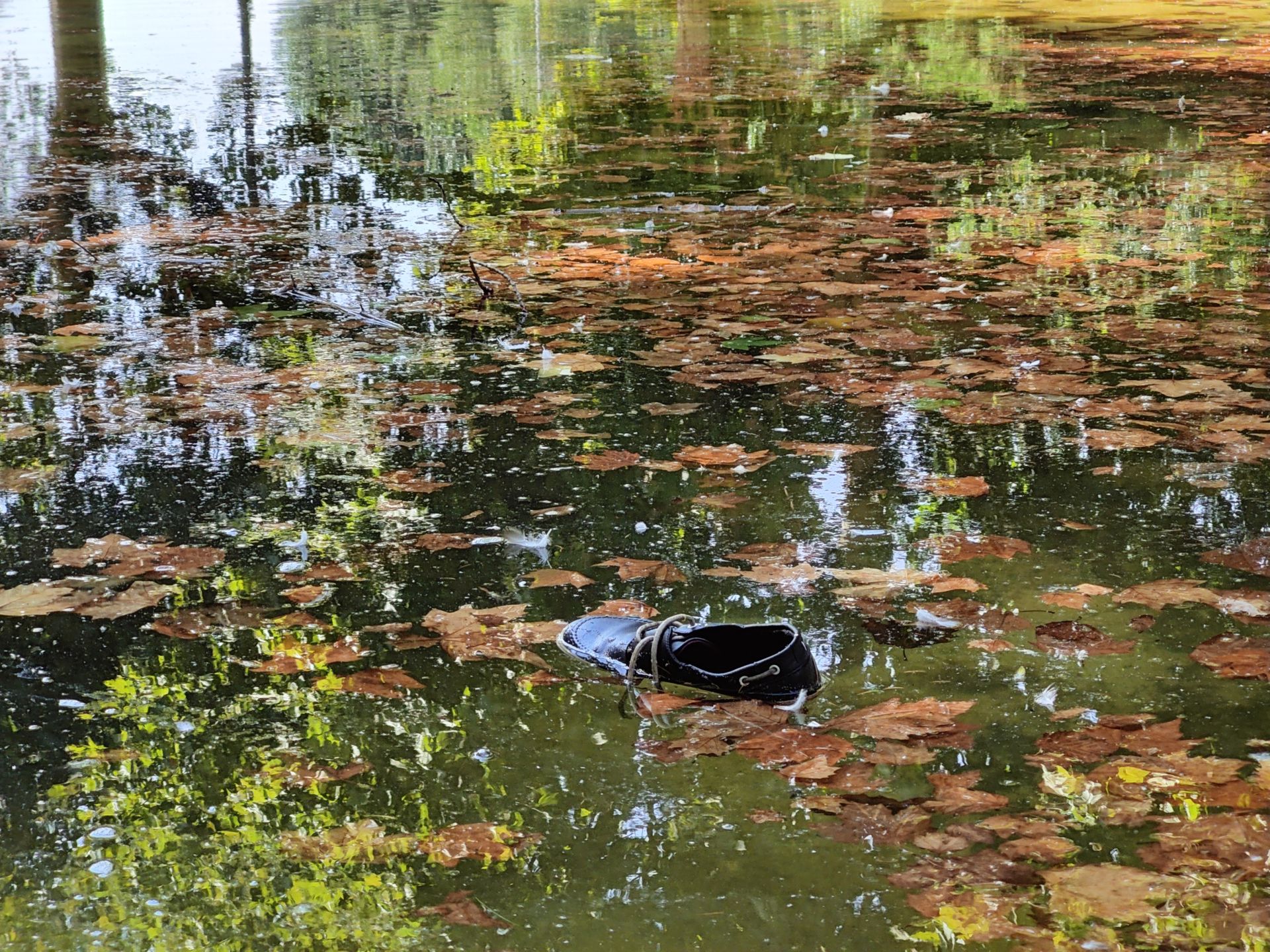 Las imágenes de la basura en el estanque del paseo Papalaguinda