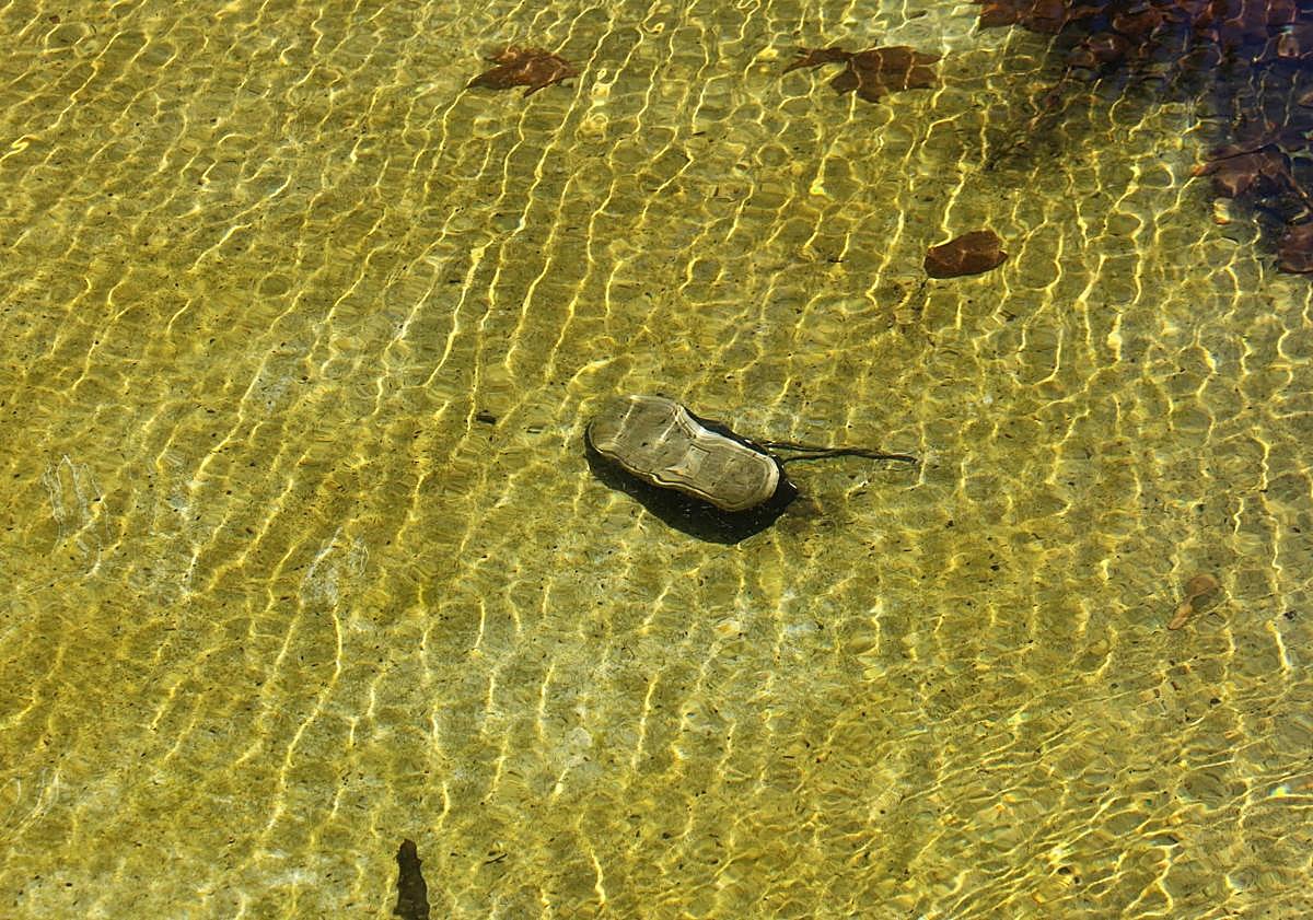 Imagen principal - Zapato hundido, botella de plástico y lata, hundidos en el estanque el 11 de septiembre.