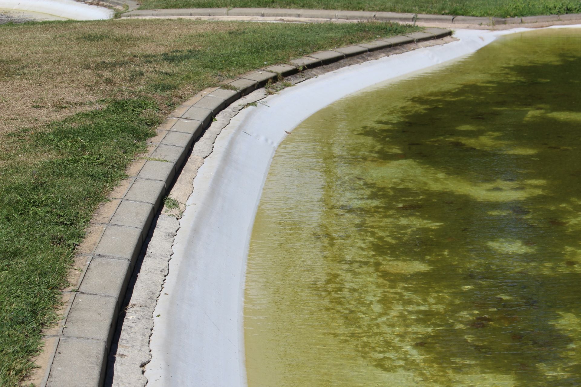 Las imágenes de la basura en el estanque del paseo Papalaguinda