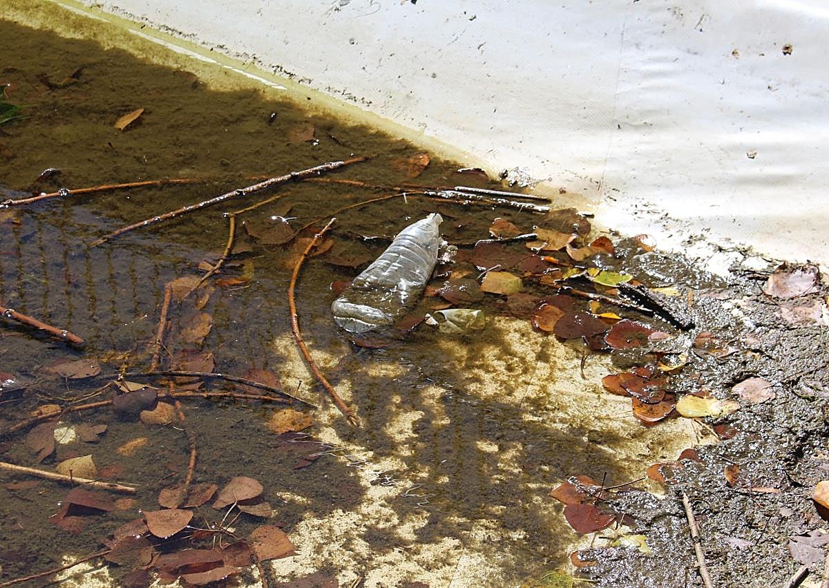 Imagen secundaria 1 - Zapato hundido, botella de plástico y lata, hundidos en el estanque el 11 de septiembre.