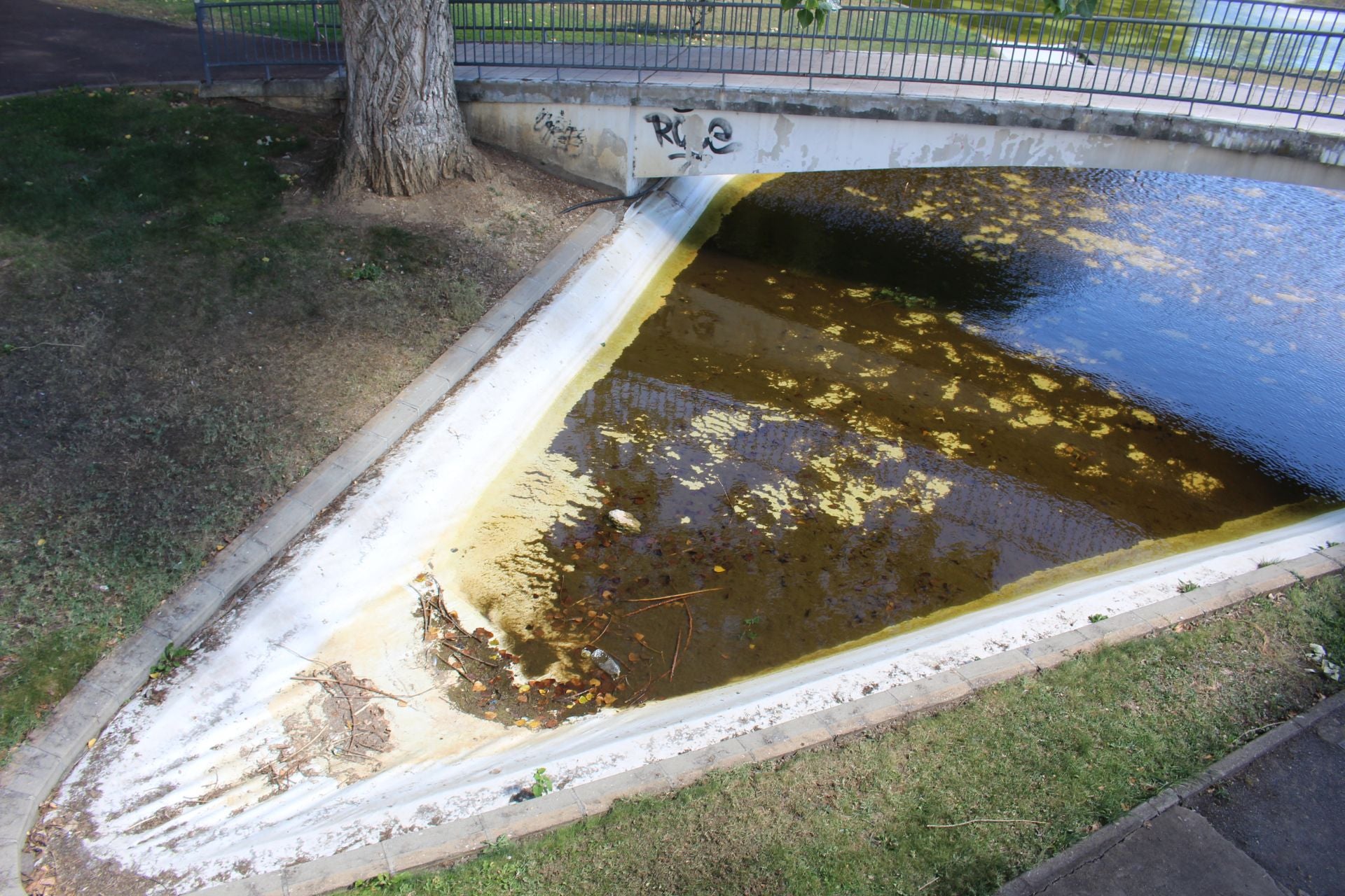 Las imágenes de la basura en el estanque del paseo Papalaguinda