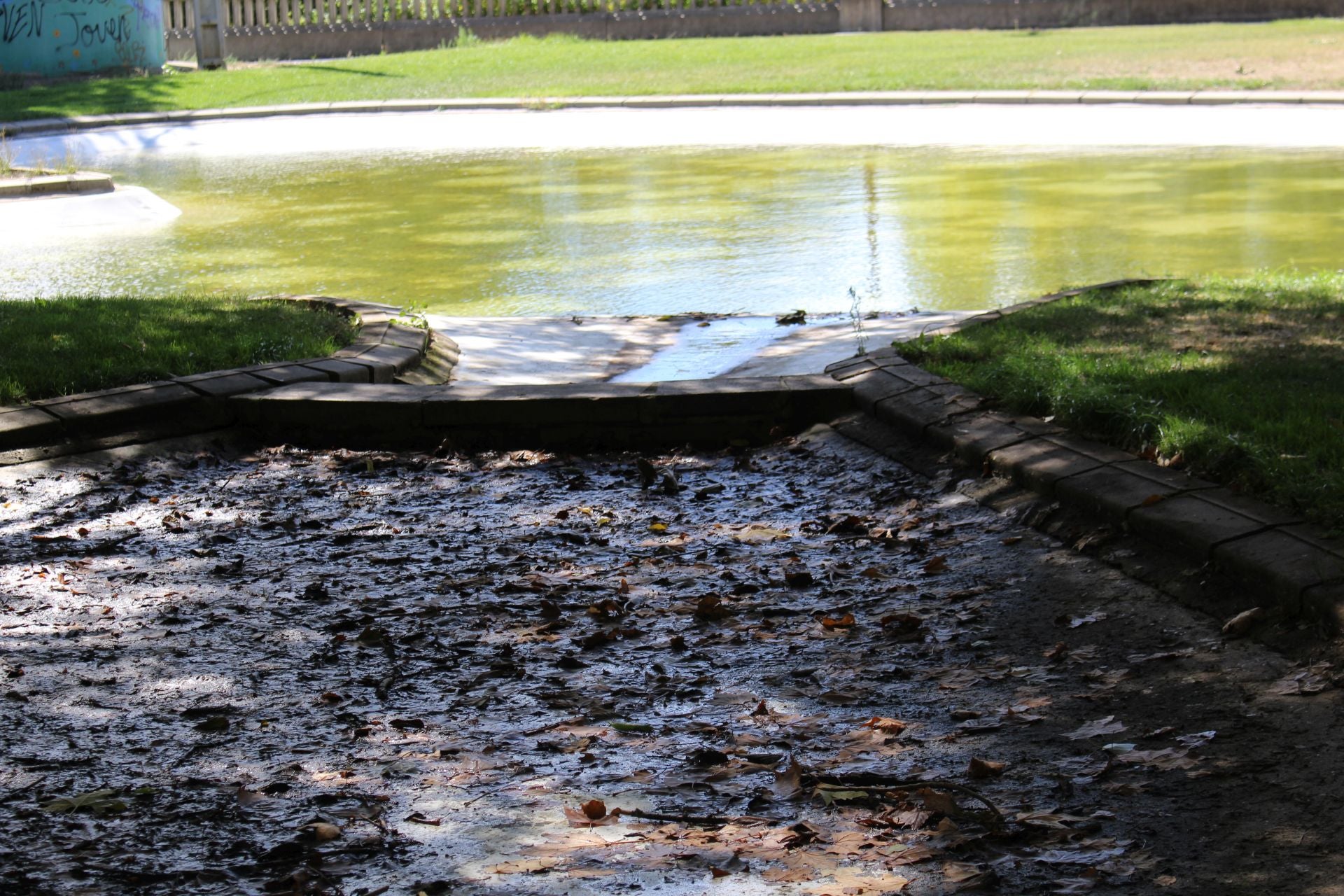 Las imágenes de la basura en el estanque del paseo Papalaguinda