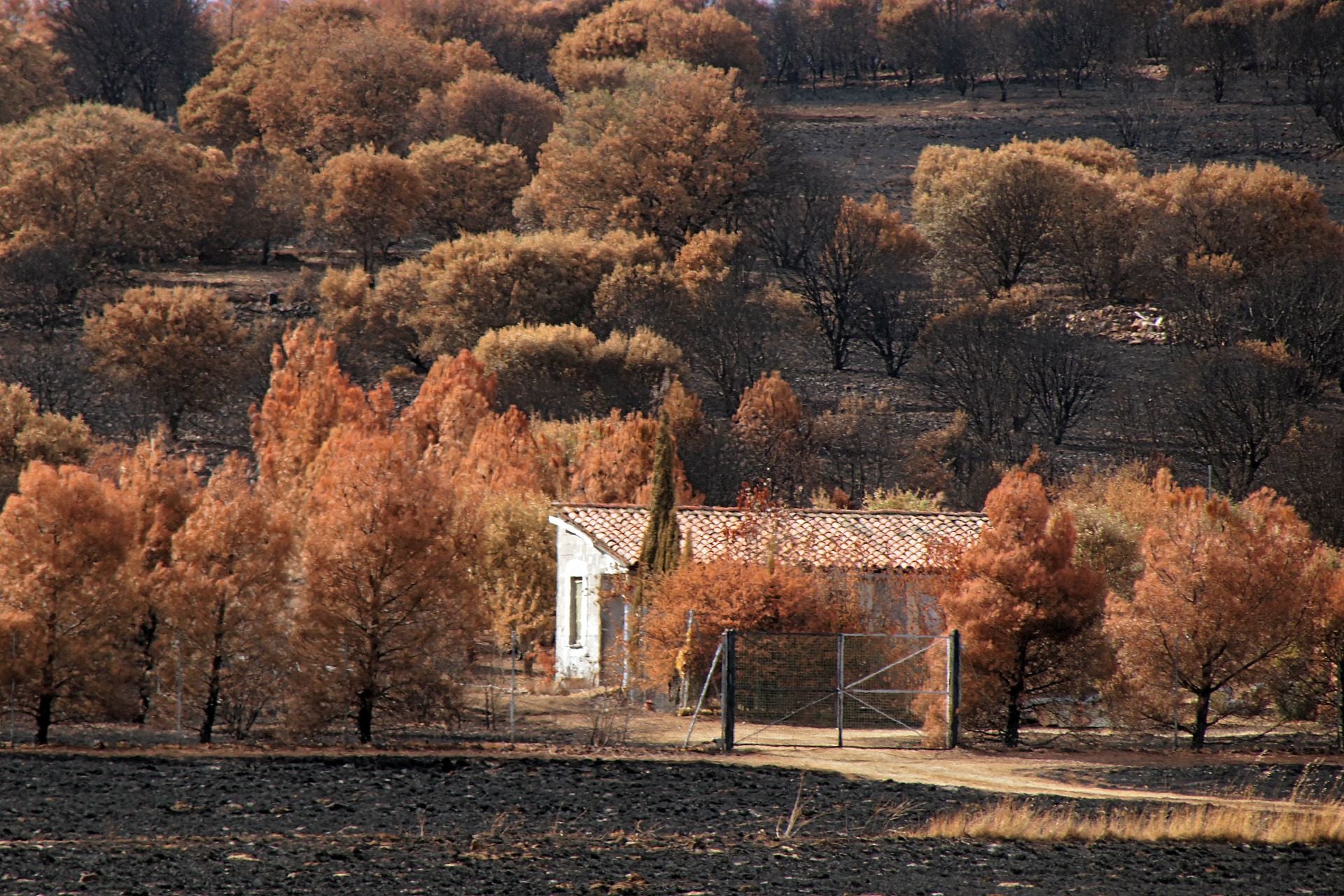Así está Castrocalbón semanas después del incendio
