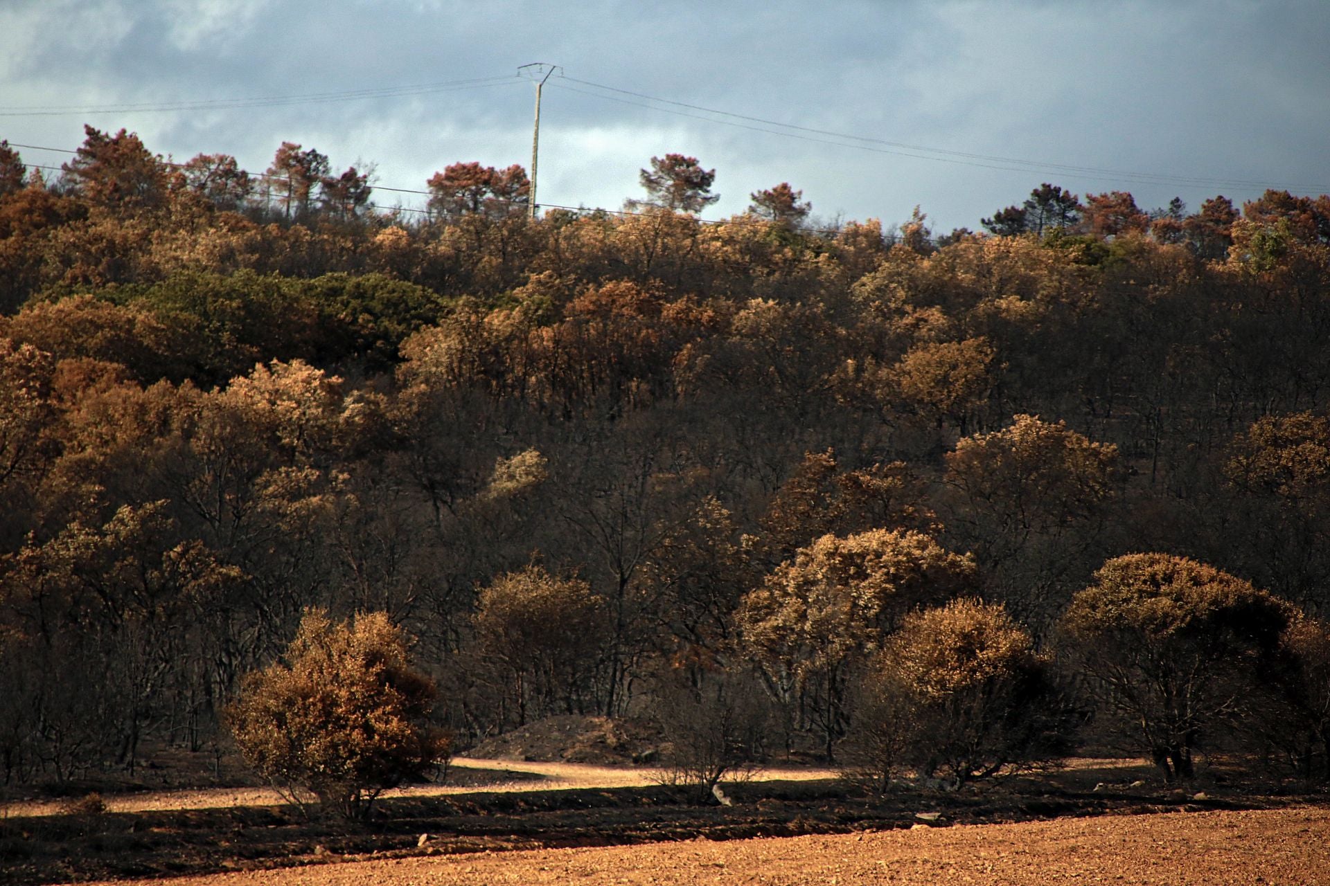 Así está Castrocalbón semanas después del incendio