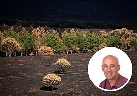 El campo visto desde Castrocalbón a mediados de septiembre y Miguel Ángel Soto, experto en bosques de Greenpeace.
