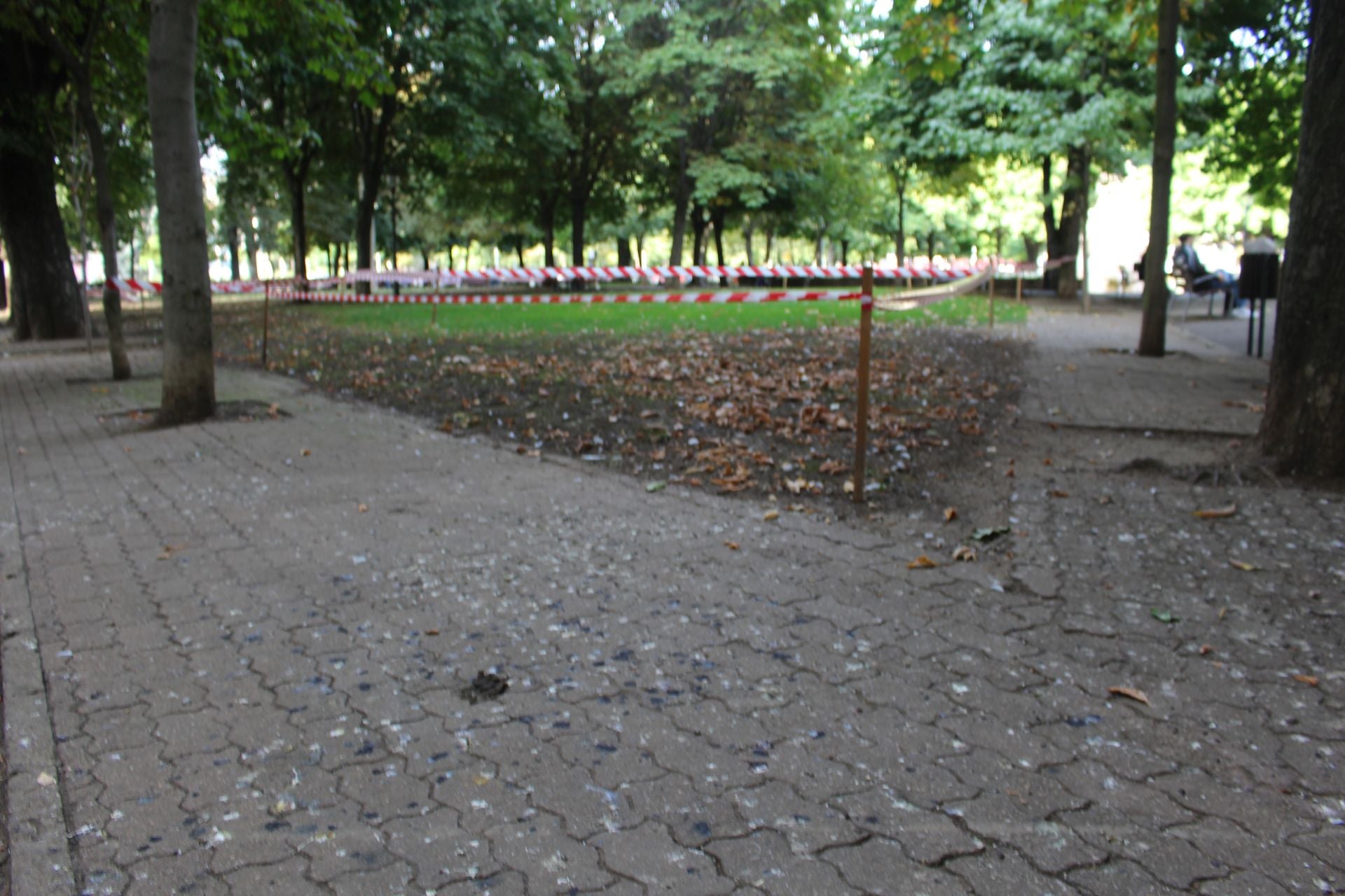 La suciedad en el parque infantil de San Francisco