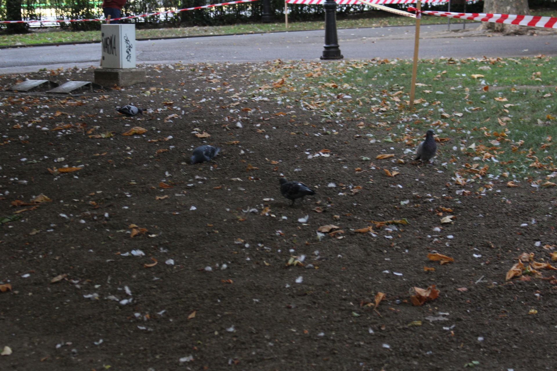 La suciedad en el parque infantil de San Francisco