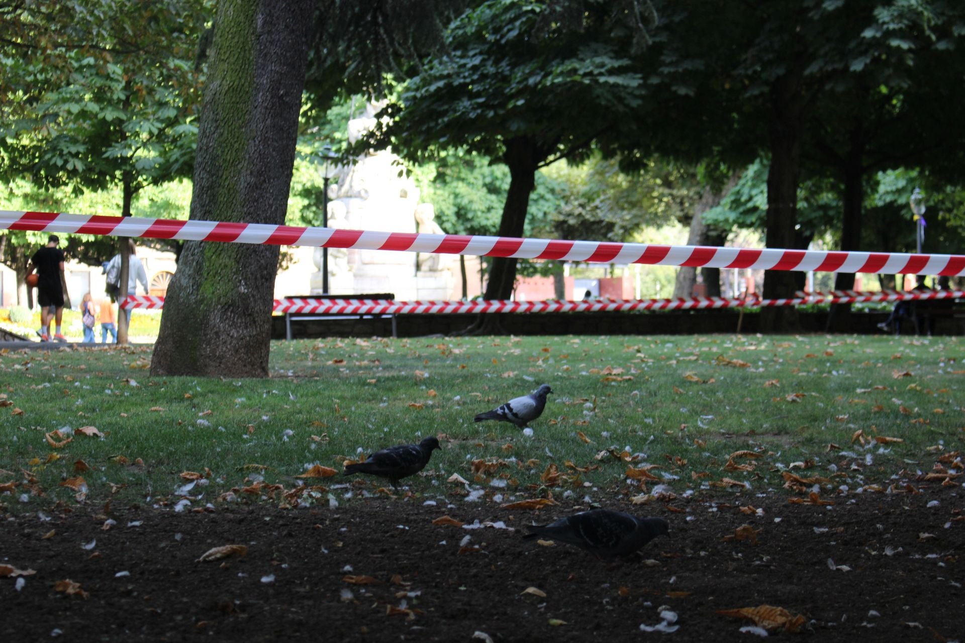 La suciedad en el parque infantil de San Francisco