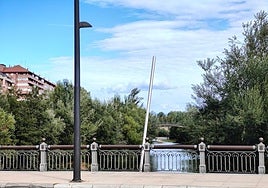 Imagen de León en un día soleado.