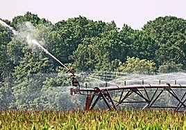 14 millones para modernizar el regadío para 1.918 hectáreas y 200 agricultores de León