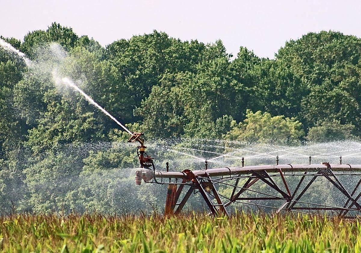 14 millones para modernizar el regadío para 1.918 hectáreas y 200 agricultores de León