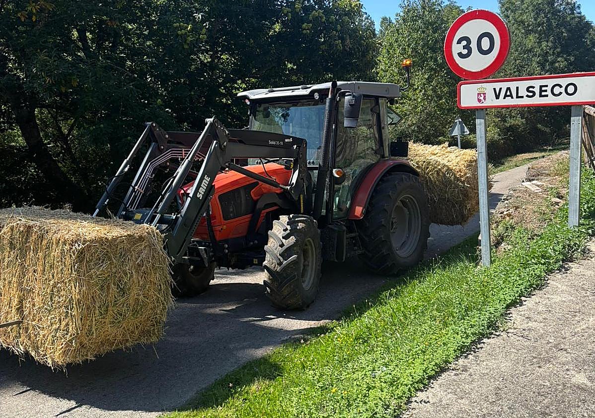 Imagen principal - Arriba, Manuel Pérez trasladando el forraje; abajo, los caminos devastados y las llamas quemando el monte.