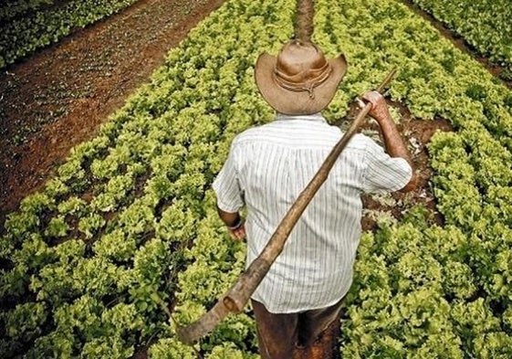 Ugal-Upa denuncia «graves problemas» para que los jóvenes se incorporen al campo