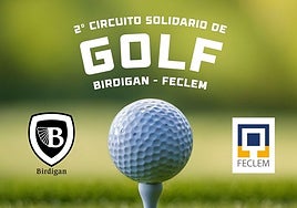 Cartel del torneo solidario Birdigan-FECLEM