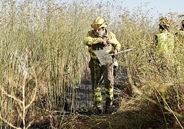 Bomberos en un incendio forestal.
