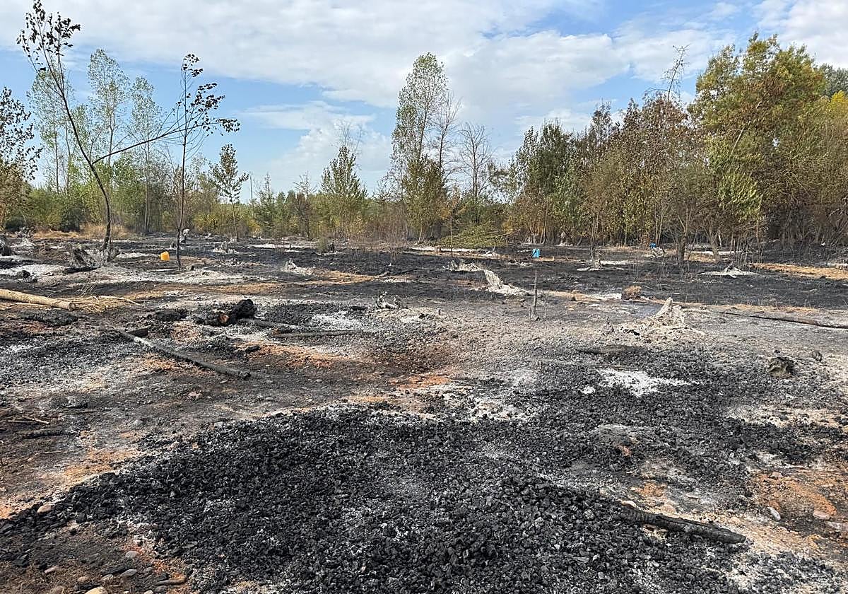 Las imágenes de Villarejo de Órbigo tras el incendio
