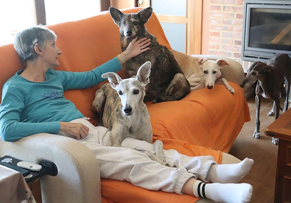 La gran mamá de los perros «raza pobrecín»