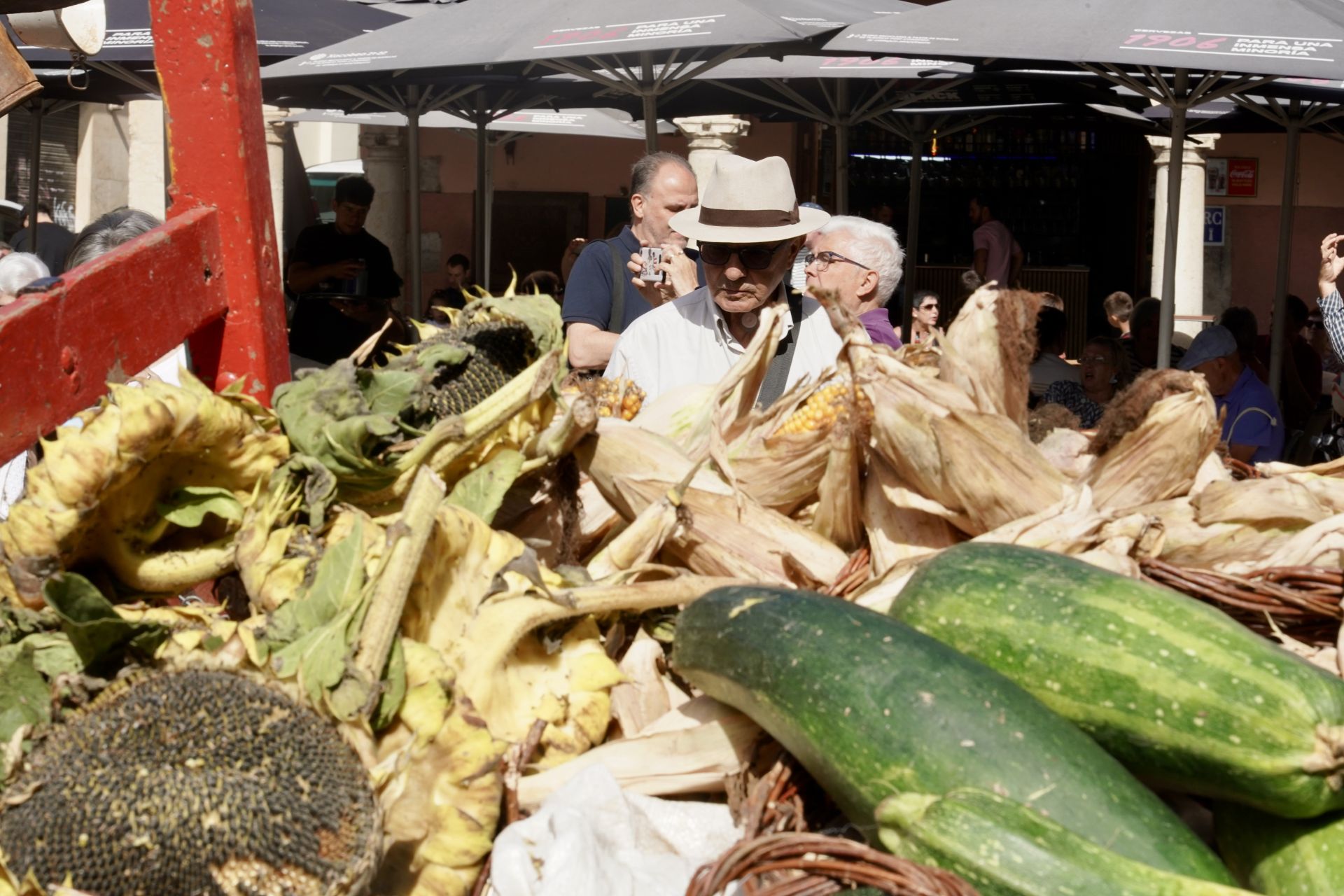 Las imágenes de la tradicional romería de La Melonera
