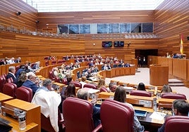 Pleno de las Cortes de Castilla y León.