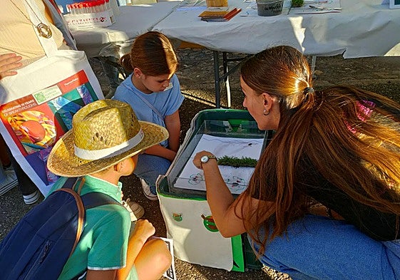 Imagen de una de las actividades propuestas.