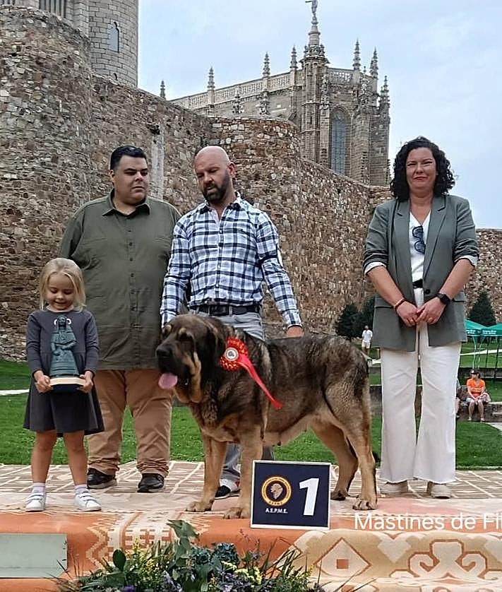 Imagen secundaria 2 - Astorga acogió el Campeonato de España de Morfología de la RSCE