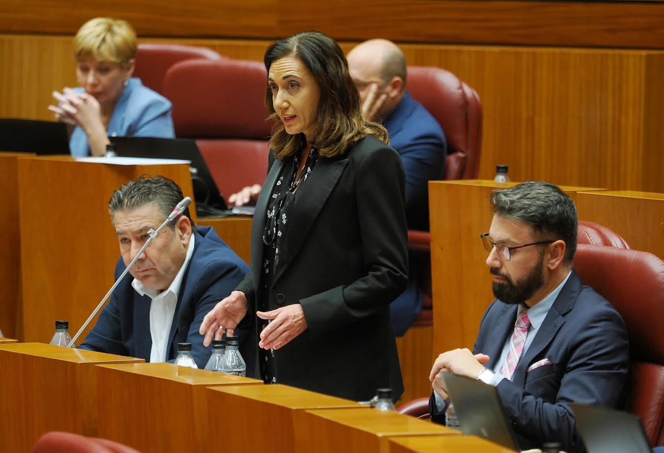 El portavoz de UPL, Luis Mariano Santos.