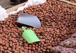 Perdones de San Froilán.