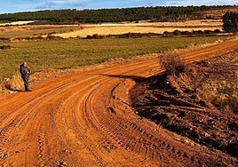 Uno de los caminos incluidos en esta actuación.