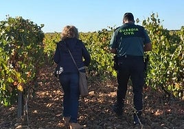 Actuación conjunta Guardia Civil e Inspección de Trabajo en la zona de Valdevimbre y Los Oteros.