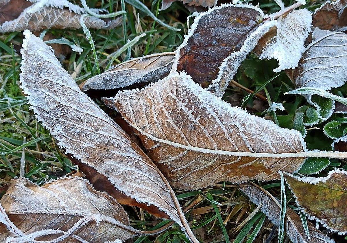 Otra madrugada gélida en León con varias mínimas bajo cero