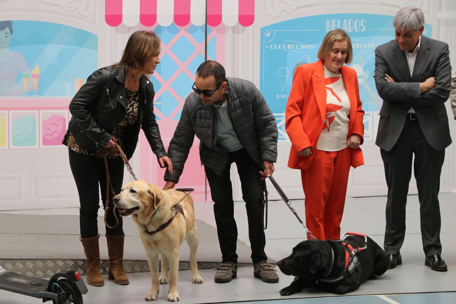 Así se adiestran y trabajan los perros guía