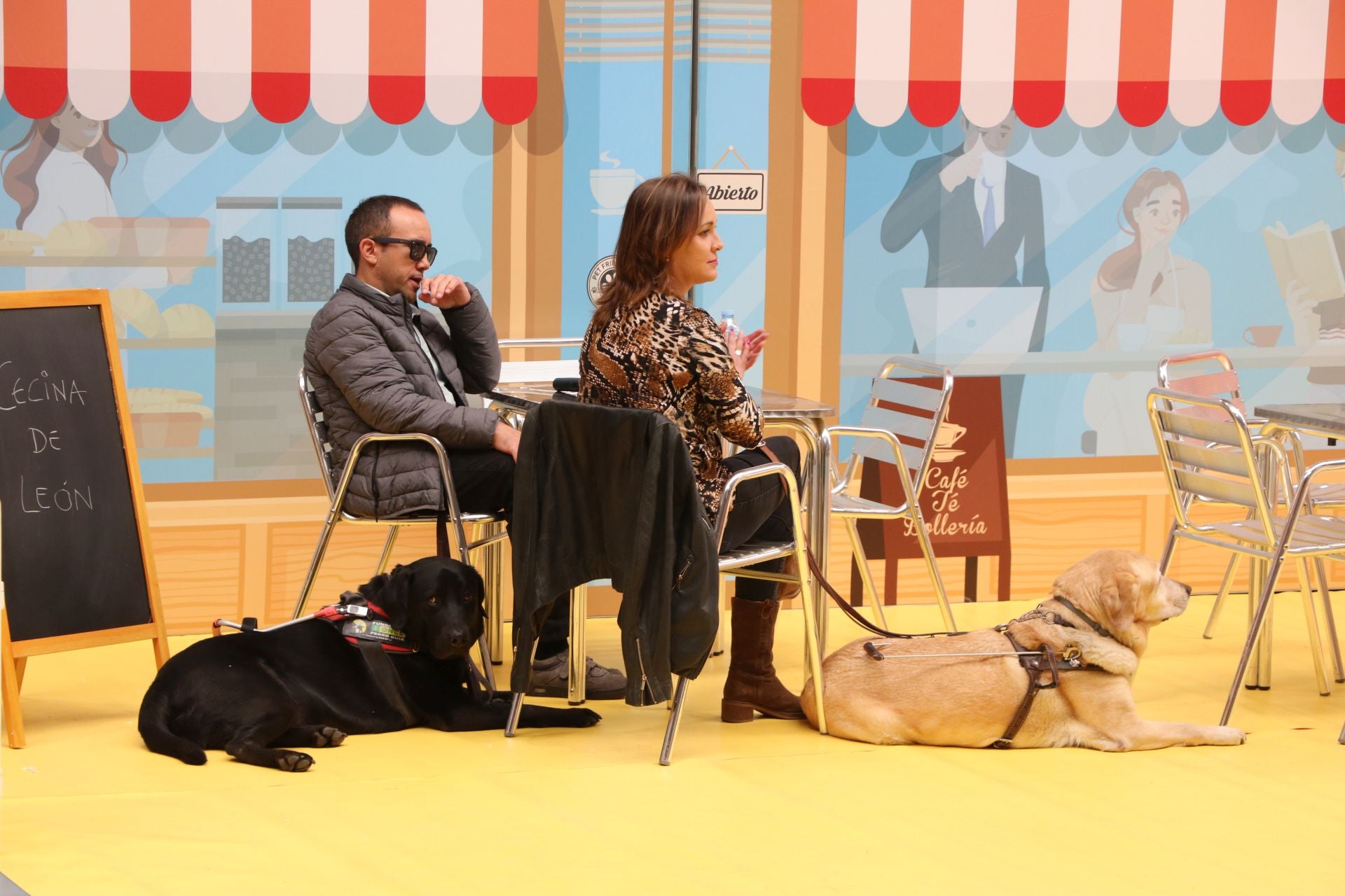 Así se adiestran y trabajan los perros guía