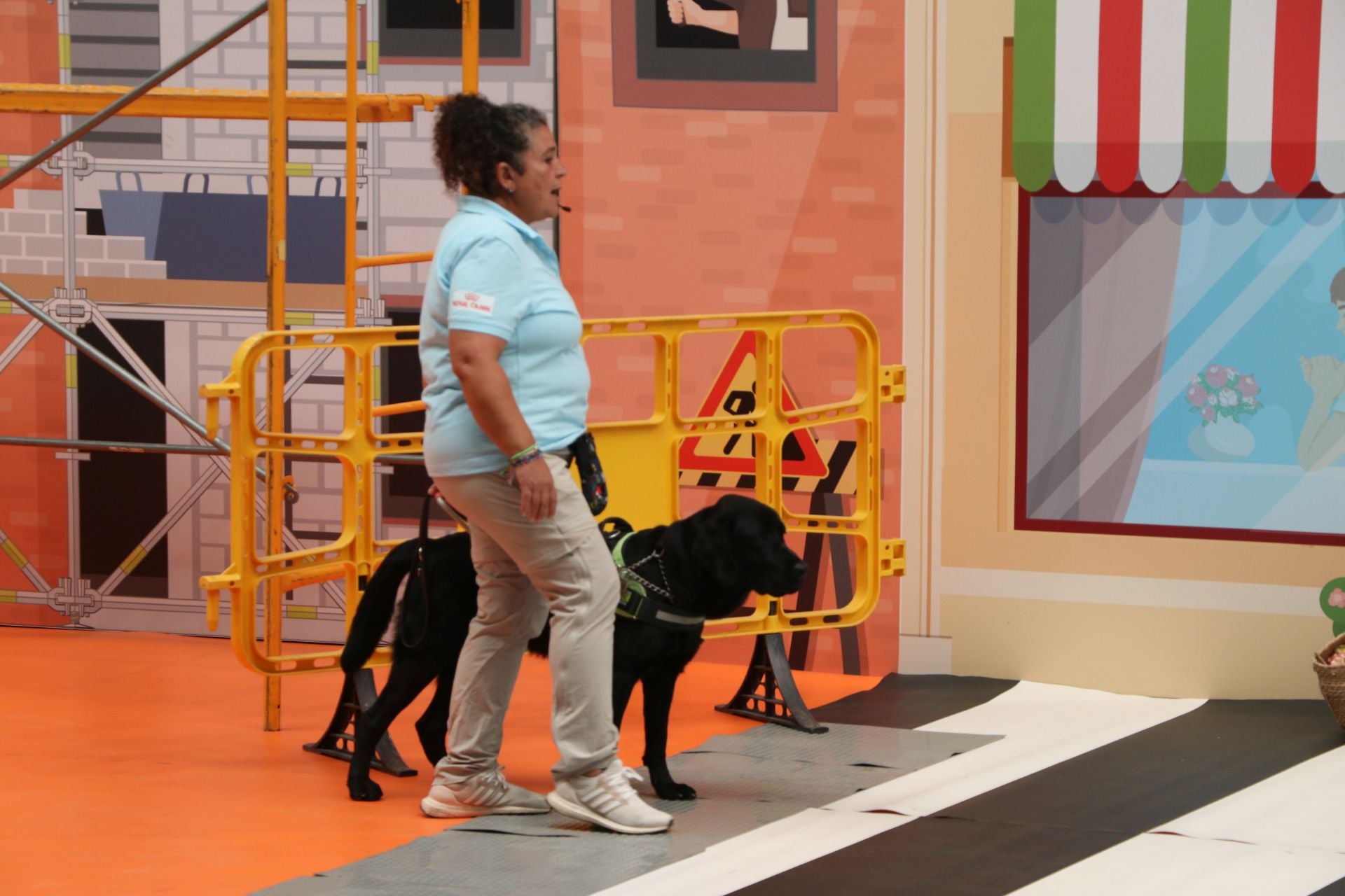 Así se adiestran y trabajan los perros guía