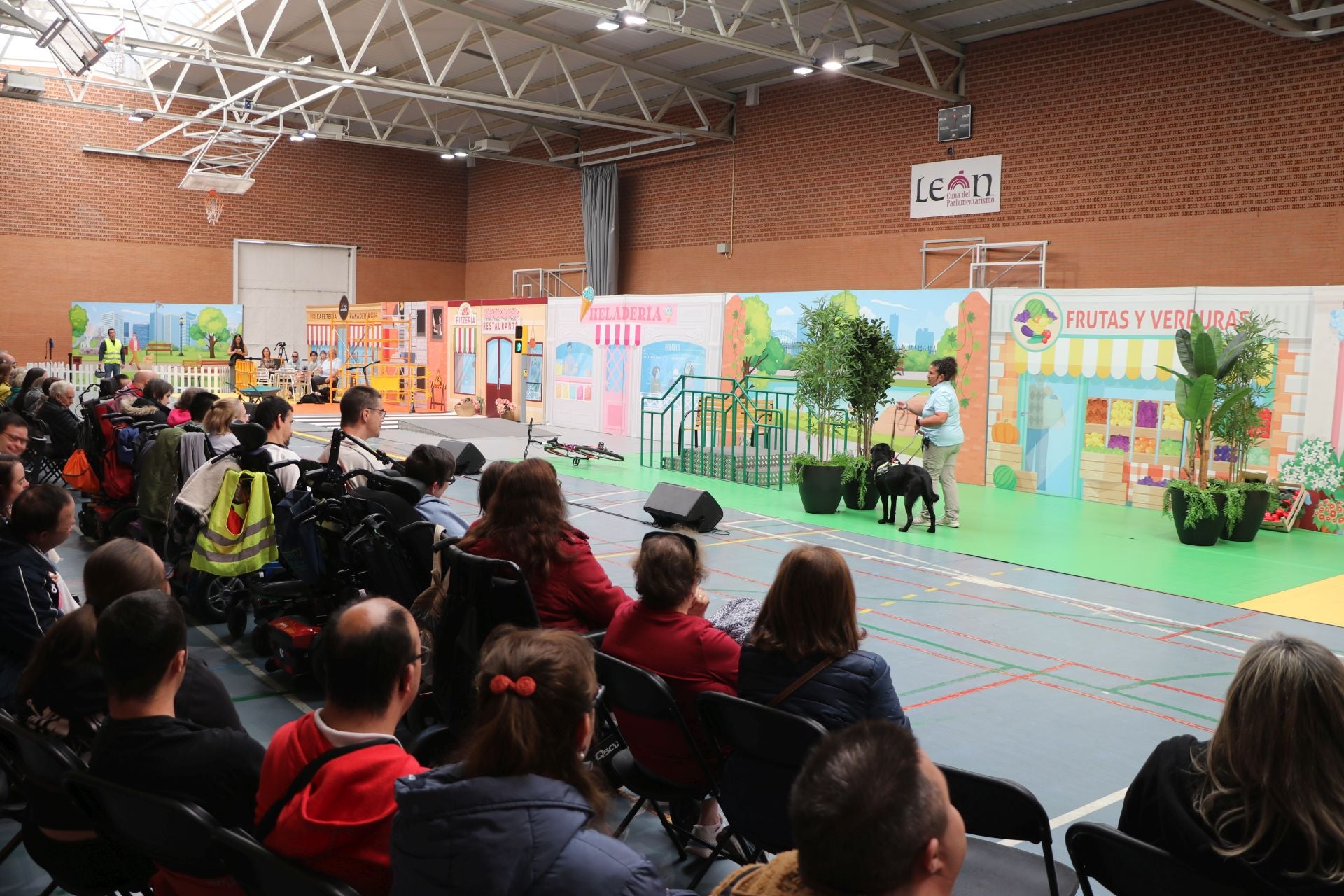 Así se adiestran y trabajan los perros guía