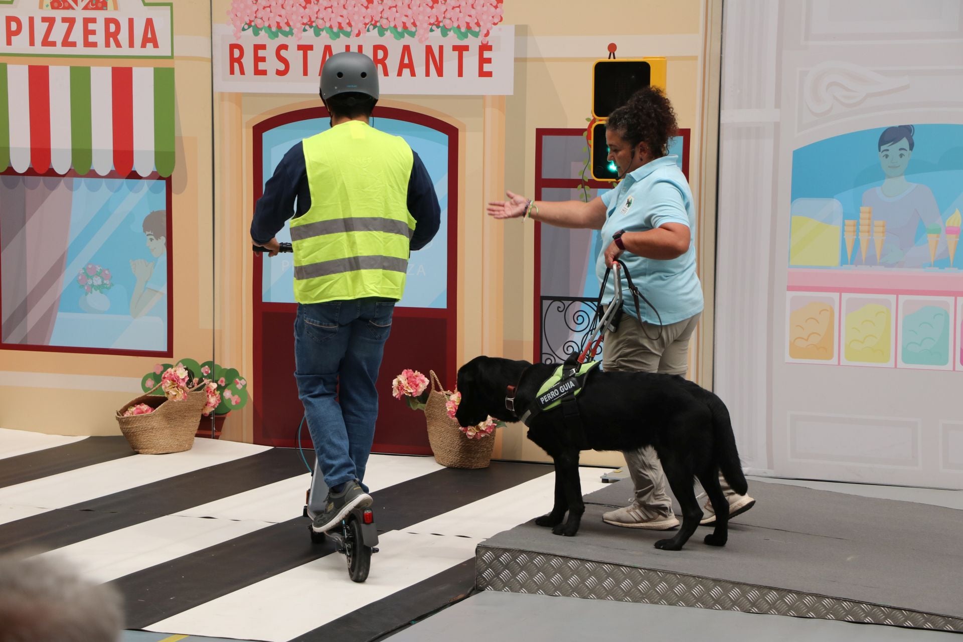 Así se adiestran y trabajan los perros guía